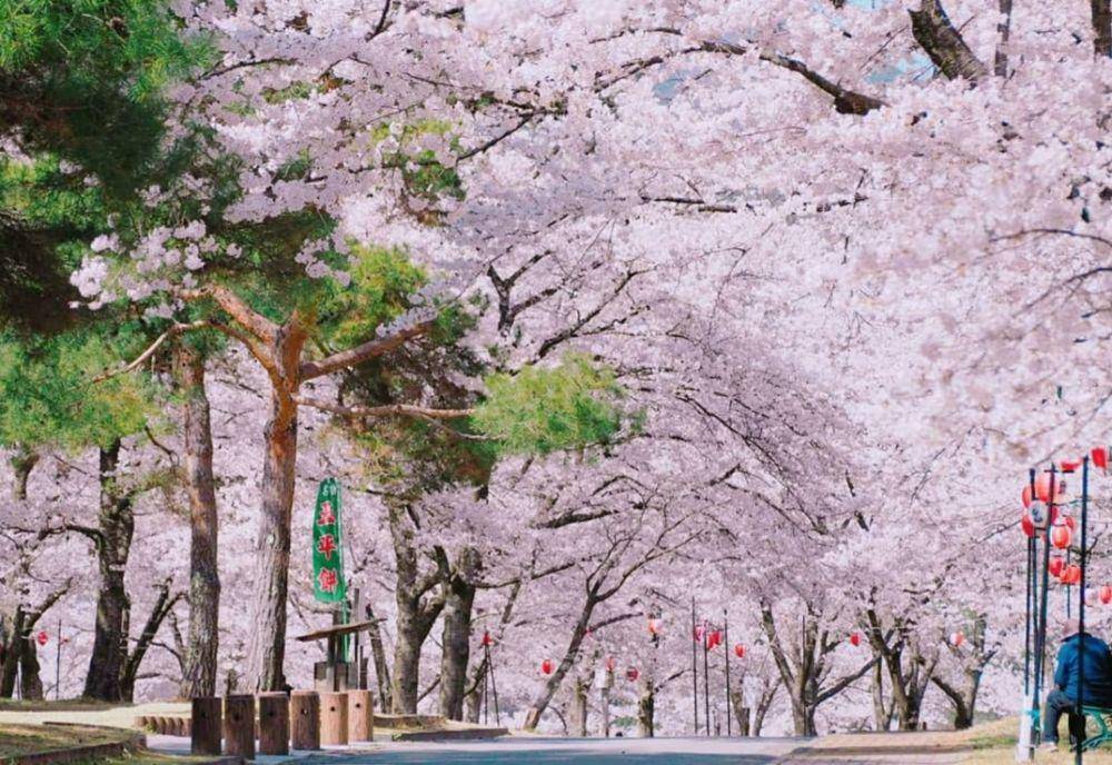 Oshika, desa terindah di Jepang (Instagram.com/mihito0313)