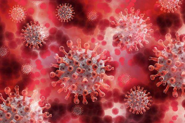 Ilustrasi virus COVID-19. (Pixabay.com/geralt)