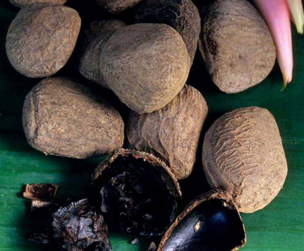 Kluwak (instagram.com/kulinologi.co.id)