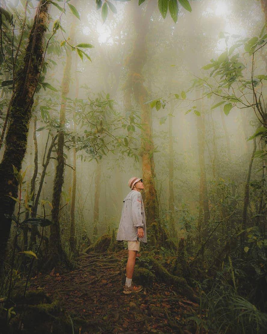 Gunung Halau-halau, Kalimantan Selatan (instagram.com/hendriwlsss)