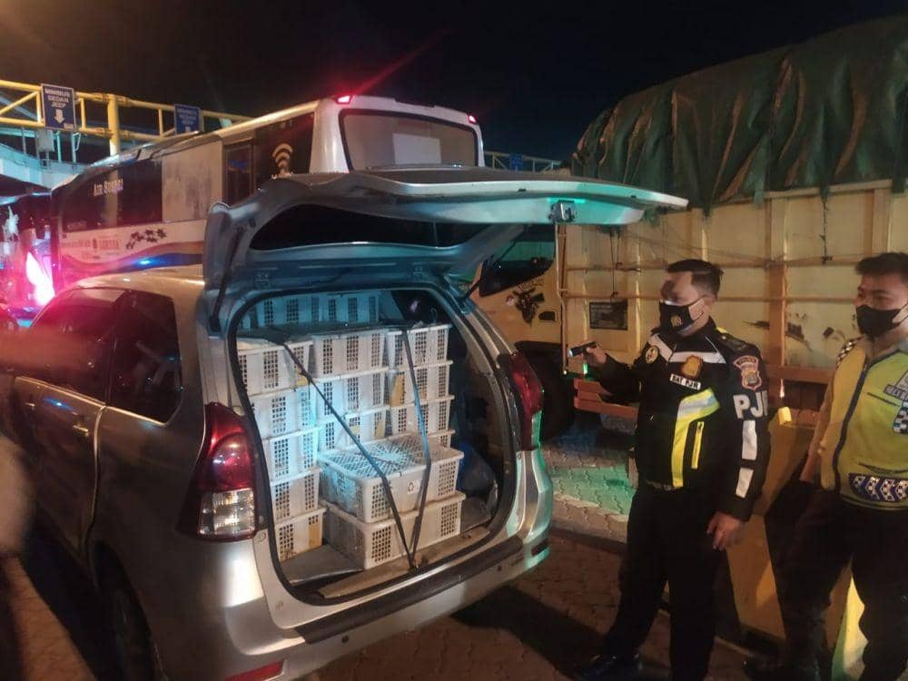 Penyelundupan 1.250 ekor burung berhasil digagalkan di Pelabuhan Bakauheni (IDN Times/Istimewa)