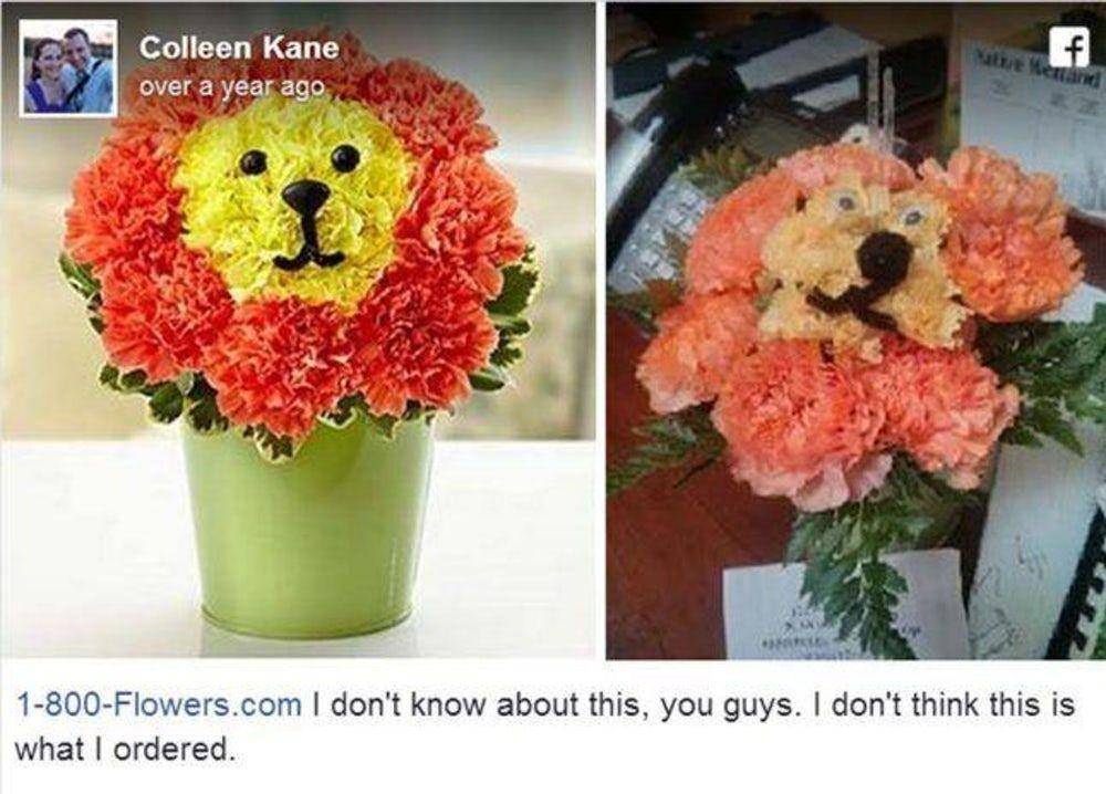Belanja online zonk (Facebook.com/public/Colleen-Kane)