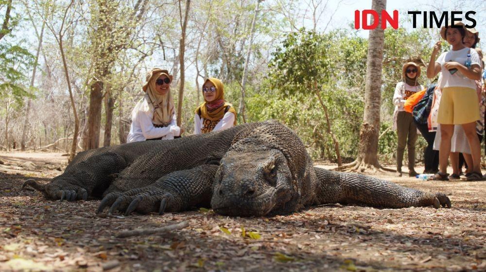 Sandiaga Ragukan UNESCO Minta Setop Proyek Jurassic Park Pulau Komodo
