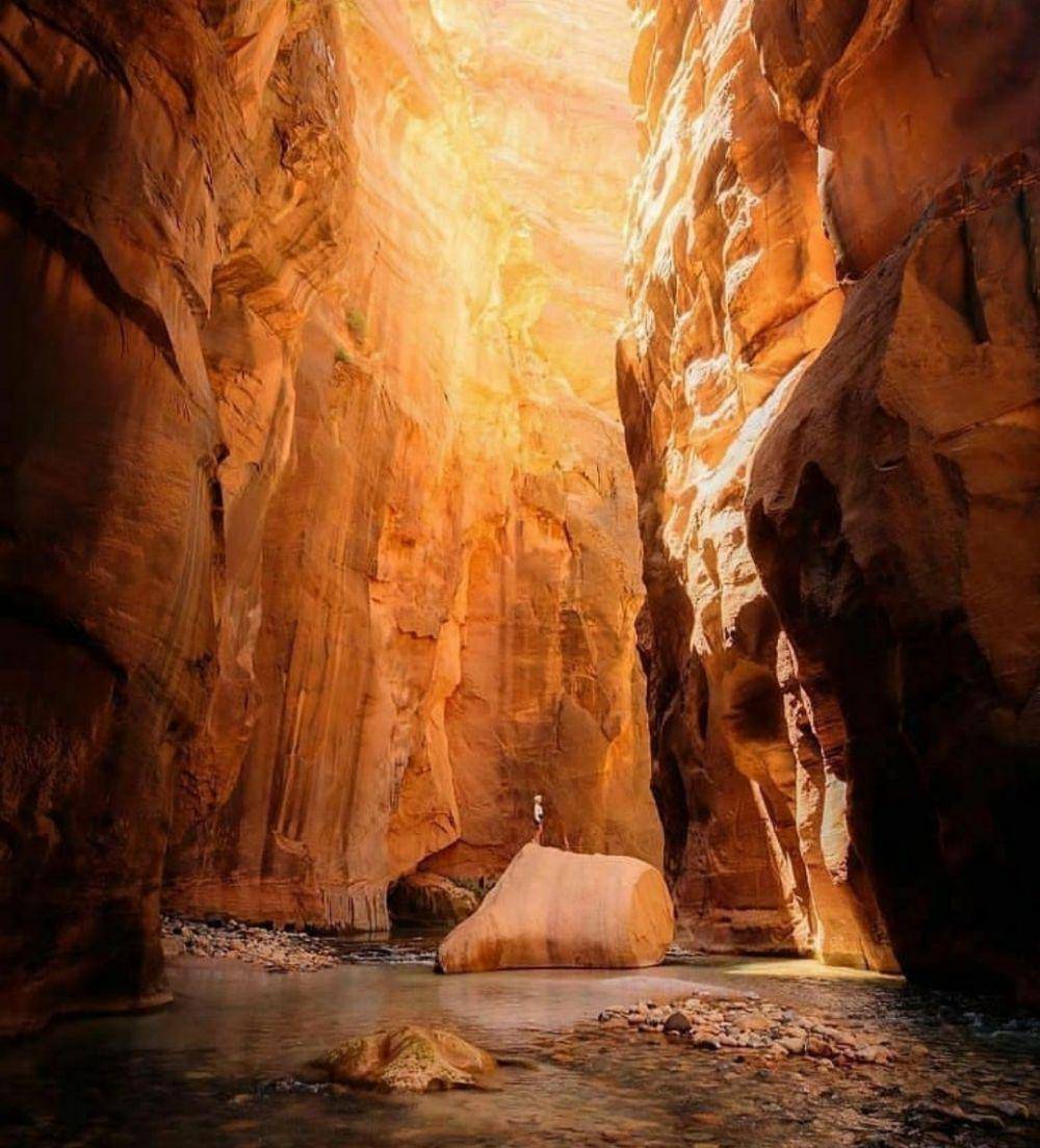 pesona Taman Nasional (Instagram.com/naturefandom)