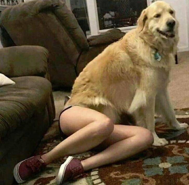 anjing dan manusia (reddit.com)