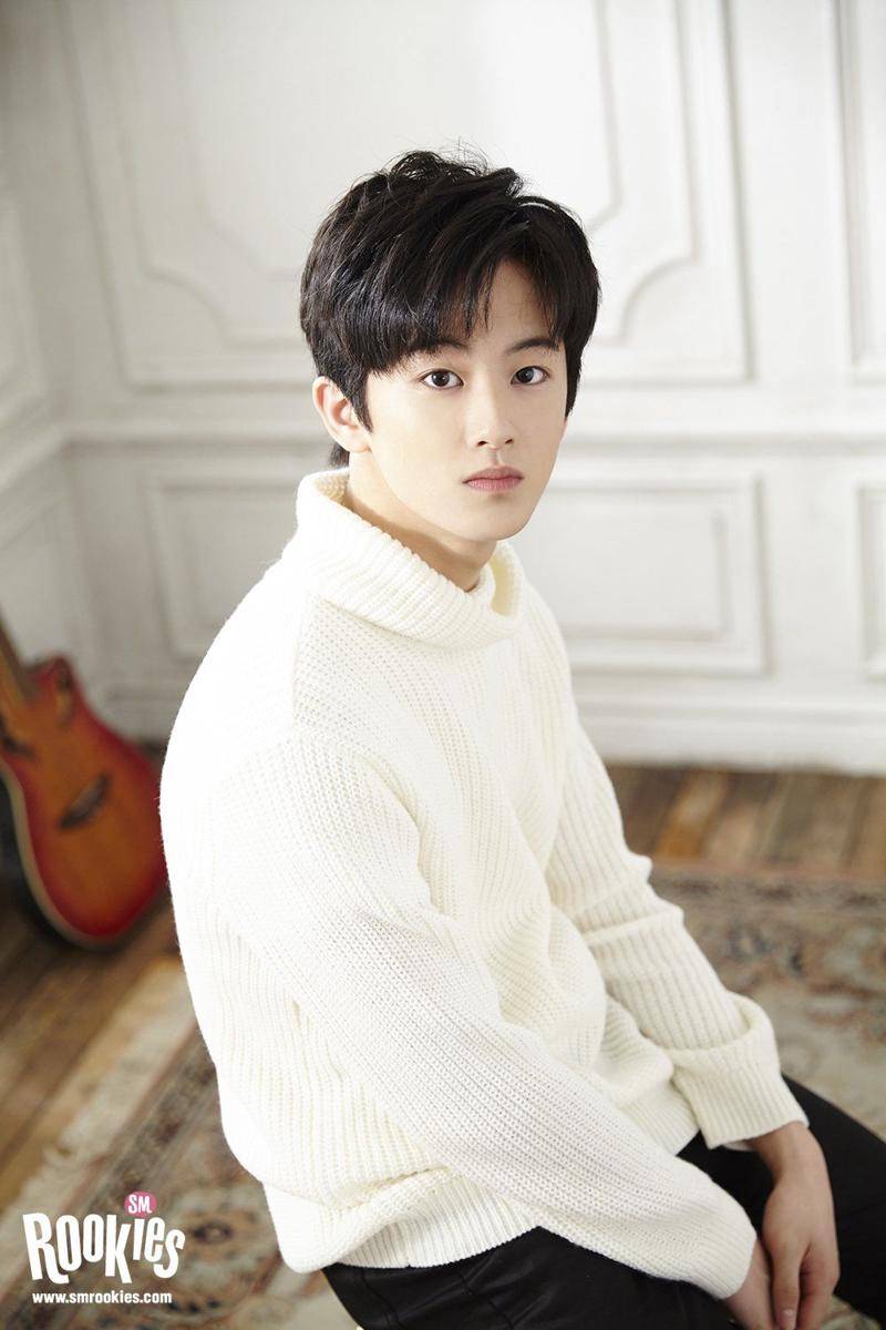 Mark NCT (twitter.com/smrookies)