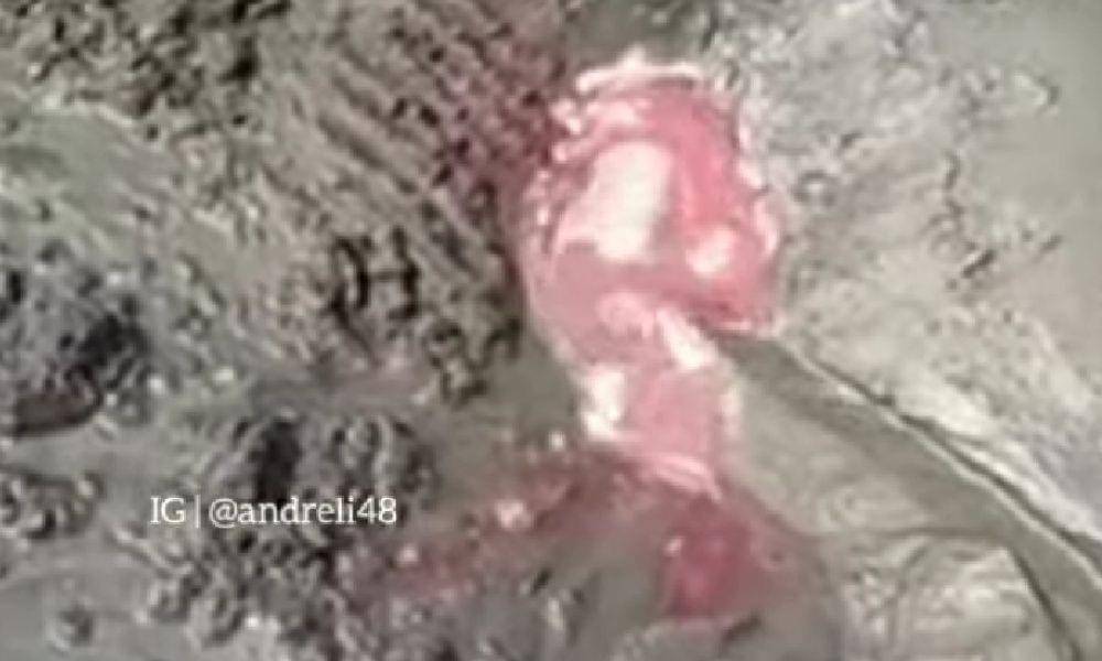 Tangkapan kayar dari video yang diupload di instagram.com/andreli48