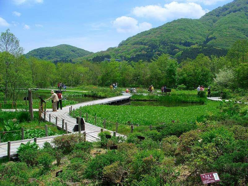 Hakone Botanical Garden of Wetlands, Jepang (hakonenavi.jp)