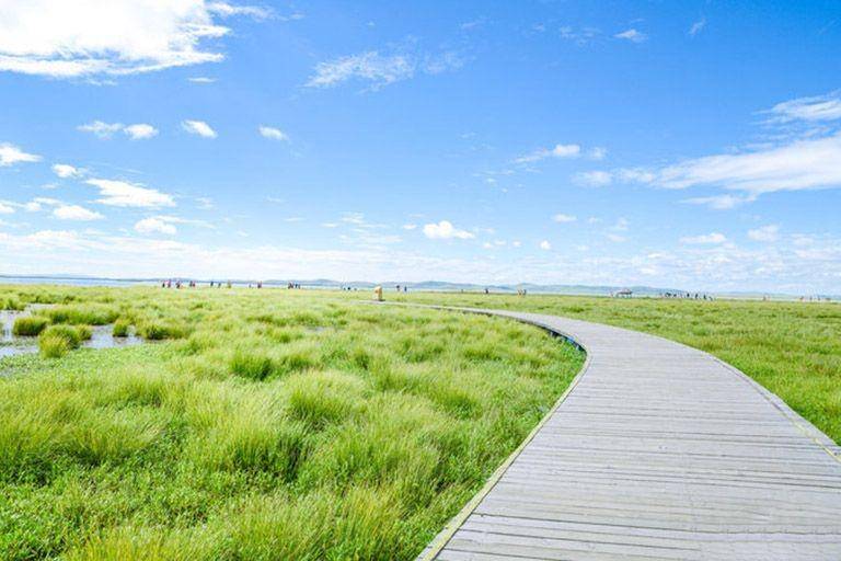 Zoige Marsh, Tiongkok(chinadiscovery.com)