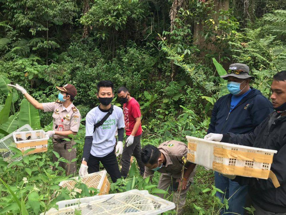 Kegiatan pelepasliaran burung-burung Balai Karantina Pertanian Lampung (IDN Times/Istimewa)