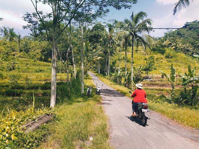 Bali (unsplash.com/Andreea Journey)