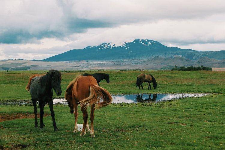 Mount Hekla (unsplash.com/SAIRA)