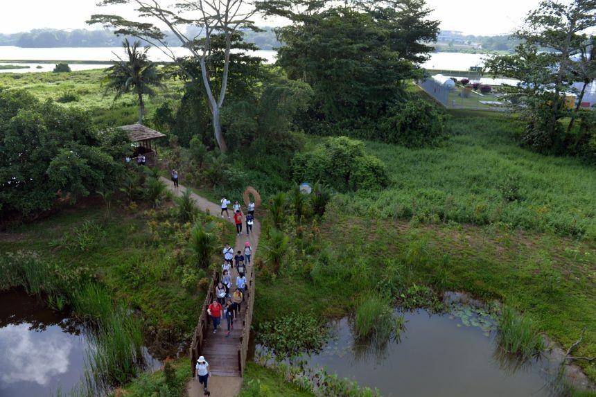 Kranji Marshes Park, Singapura (straitstimes.com)