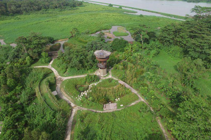 Kranji Marshes Park, Singapura (traitstimes.com)