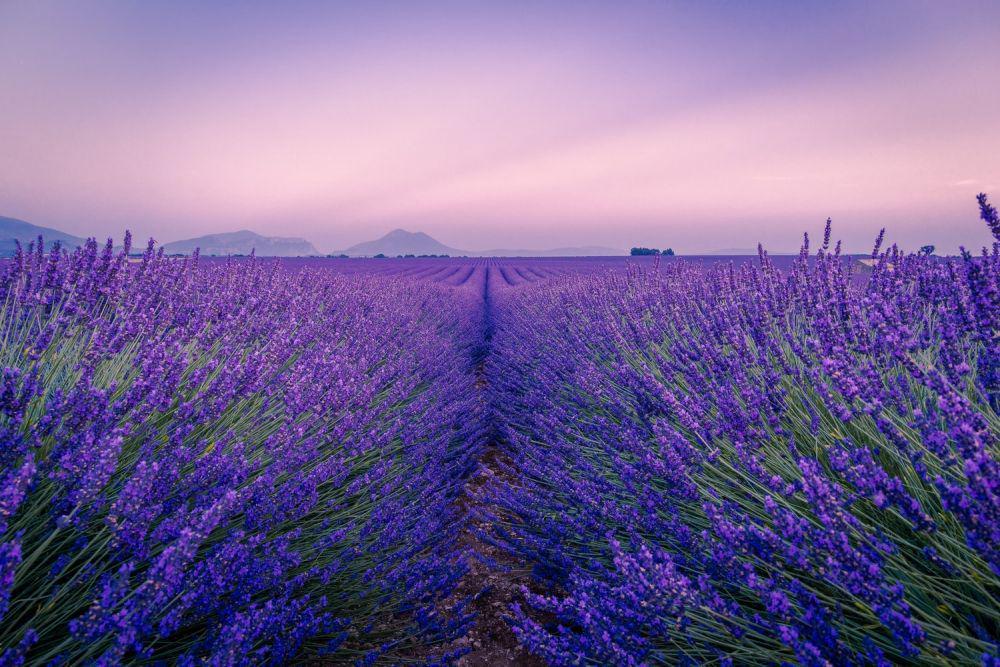 6 Kota Cantik Nan Energik di Provence Prancis, Wajib Masuk Bucket List