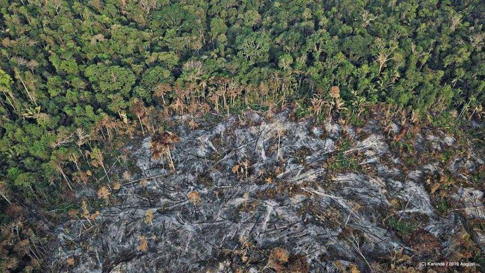 Instagram.com/wwf