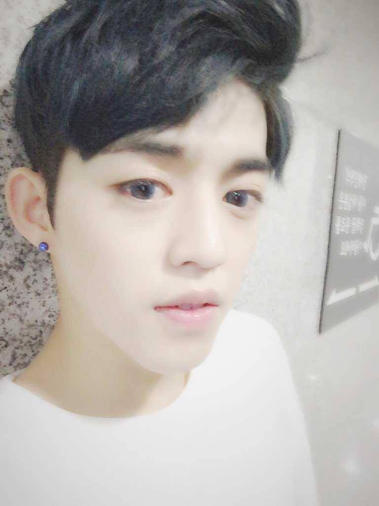 S.Coups SEVENTEEN (twitter.com/pledis_17)