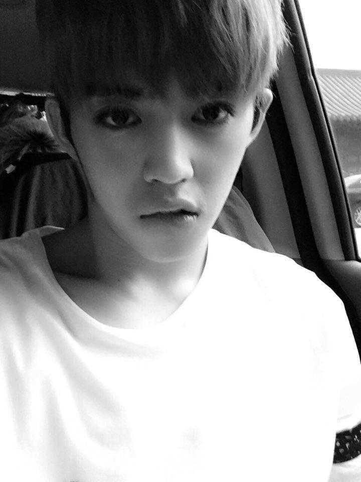 S.Coups SEVENTEEN (twitter.com/pledis_17)