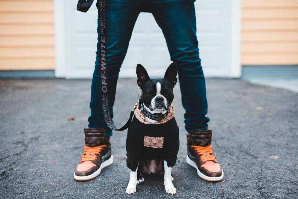 ilustrasi sepatu branded (pexels.com/Erik Mclean)