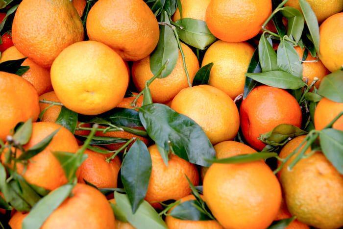 10 Nama Buah dalam Bahasa Toraja, Pernah Dengar Burirang?