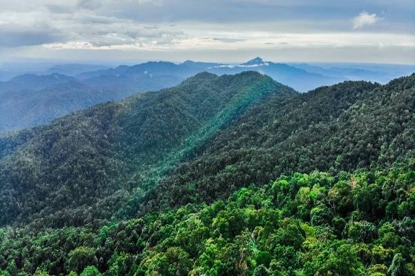 Gunung Phnom Aural, Vietnam (pinterest.com/cambodia-vietnam-tours)