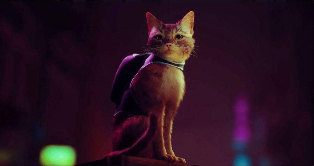 Game 'Stray', Jelajahi Kota Modern dengan Seekor Kucing