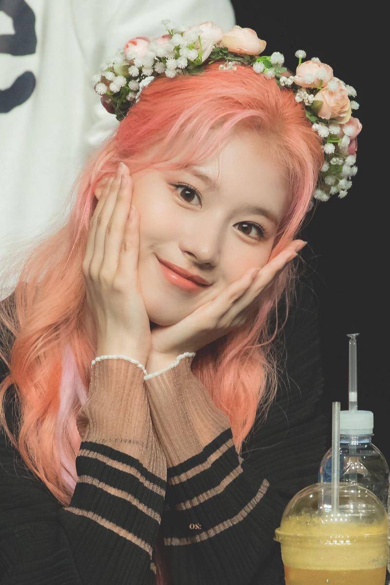 Sana TWICE (twitter.com/gp1229_)