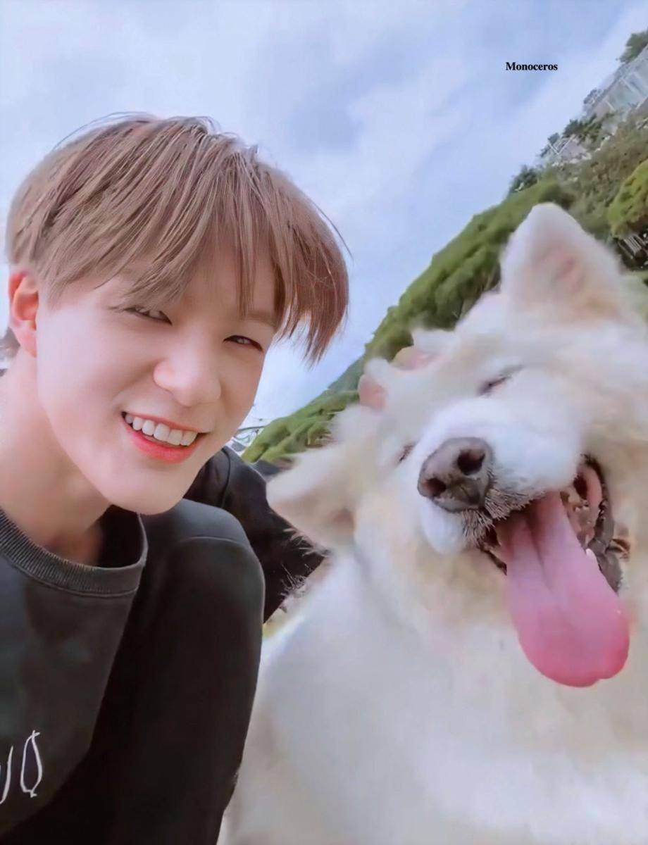 Jeno NCT (twitter.com/__monoceros)