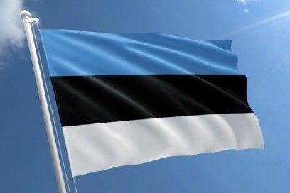 ilustrasi bendera Estonia (rvmsystems.com)