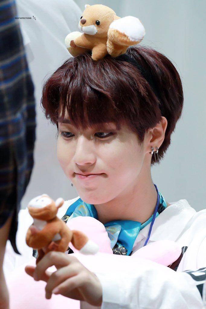 Han Stray Kids (twitter.com/affections_skz)