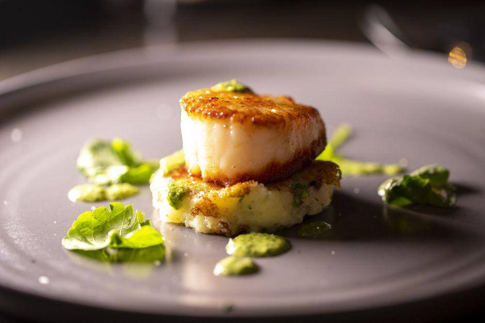 ilustrasi pan seared scallops with parmesan (pixabay.com/adamlot)