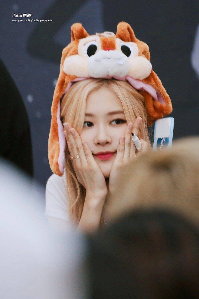 Rose BLACKPINK (twitter.com/lostinroses211)