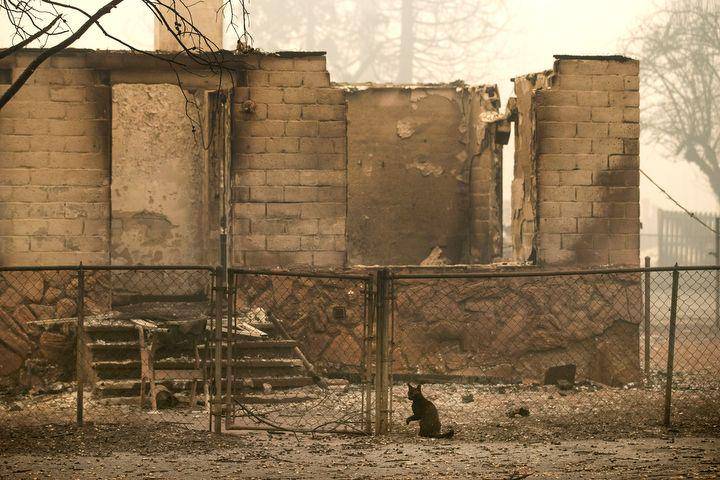 Sebuah rumah yang hancur setelah dilahap Dixie Fire di kota kecil Greenville yang memiliki populasi sekitar 1.100 penduduk. (Twitter.com/Karl Mondon)
