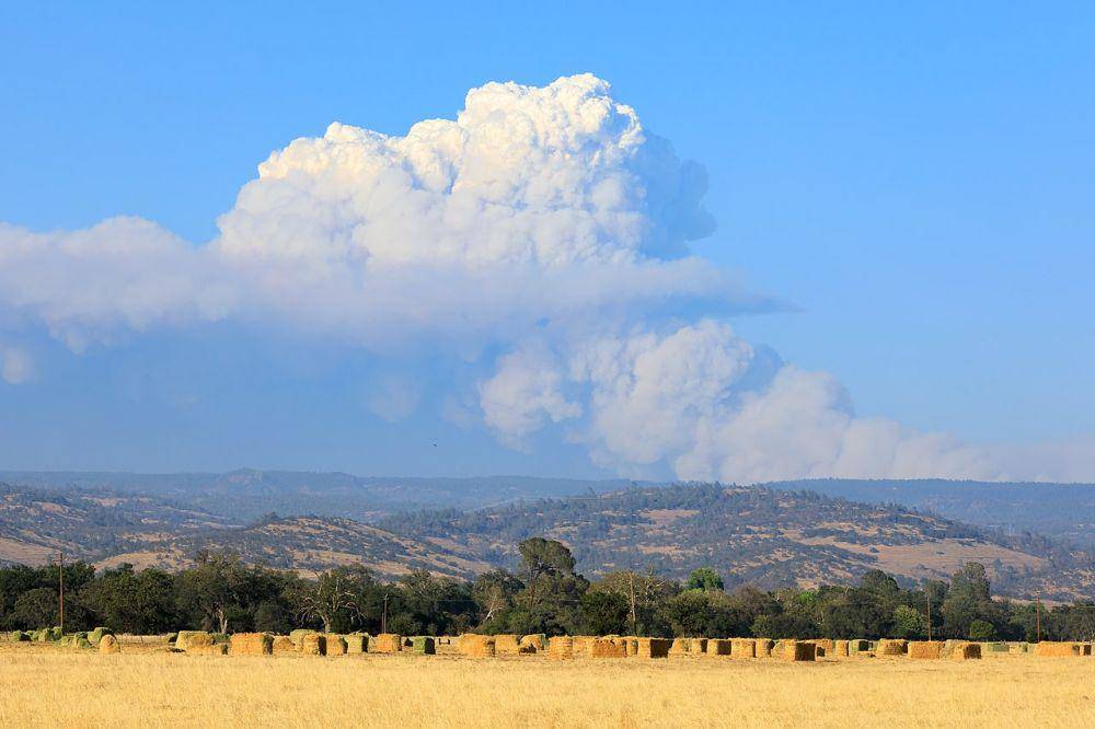 Asap terlihat mengepul ke langit akibat kebakaran hutan di California utara yang terjadi sejak 13 Juli 2021. (Wikipedia.org/Frank Schulenburg)