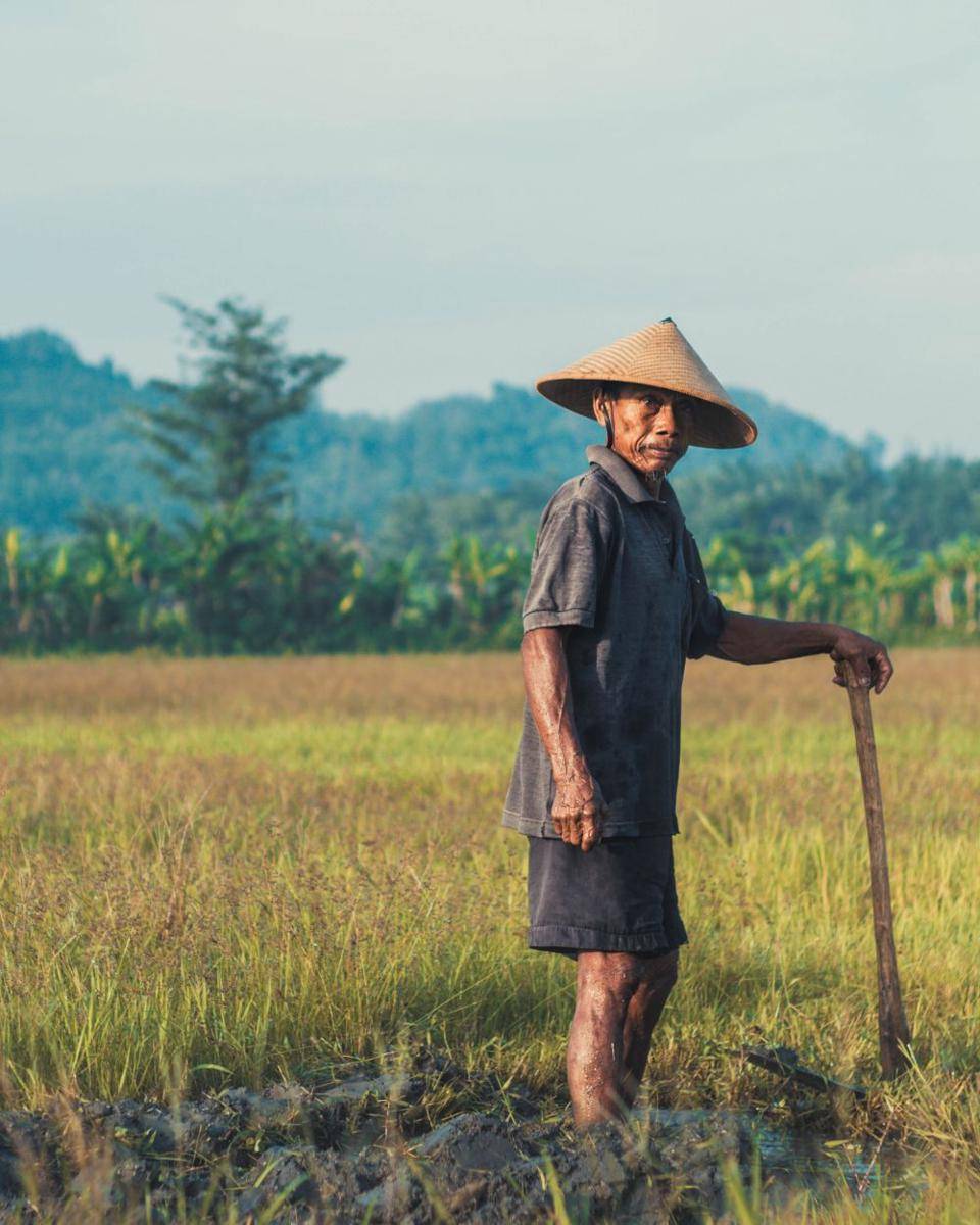 ilustrasi wajah Indonesia (unsplash.com/sebastianstaines)