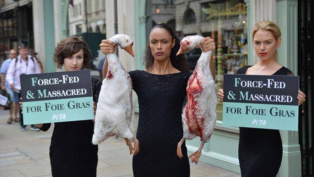 ilustrasi kampanye menentang foie gras (peta.org.uk)