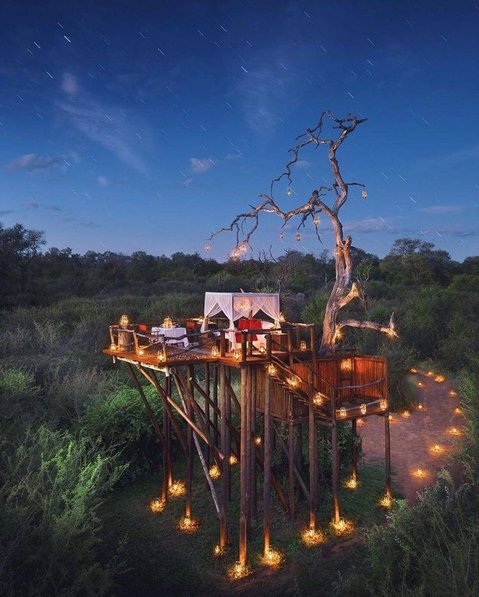 Lion Sands Sabi Sand (instagram.com/lionsandsgamereserve)