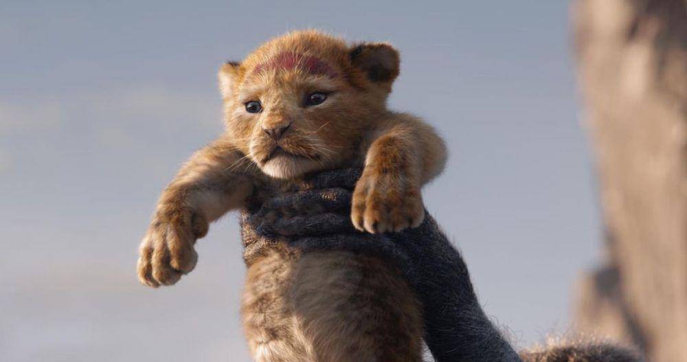 Simba di film Lion King 2019 (Instagram/lionking)