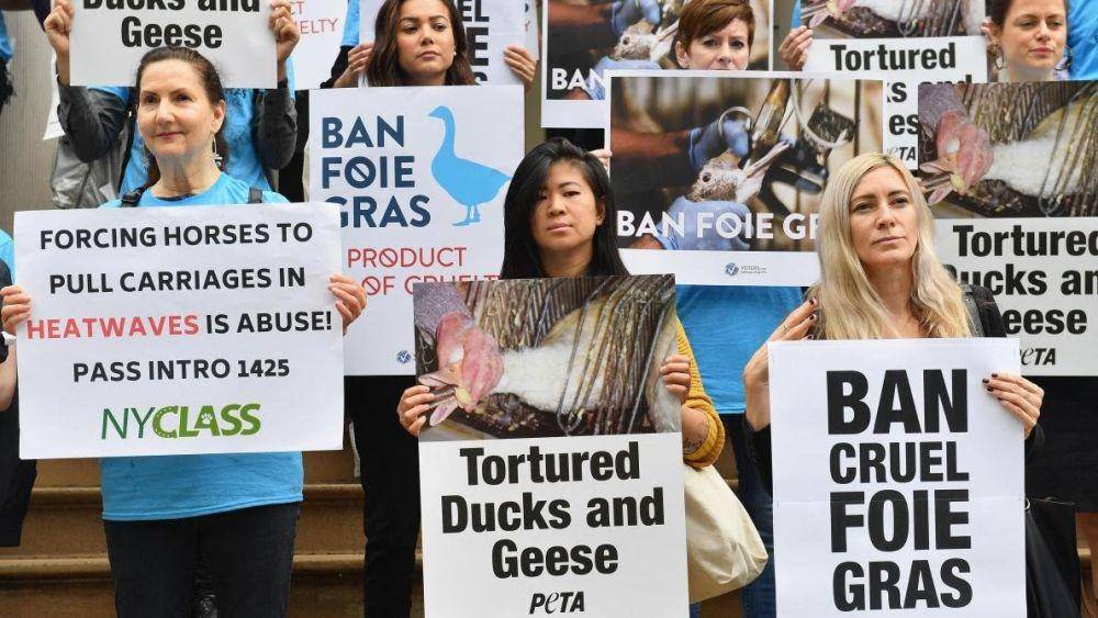 ilustrasi protes menentang foie gras (lunion.fr)