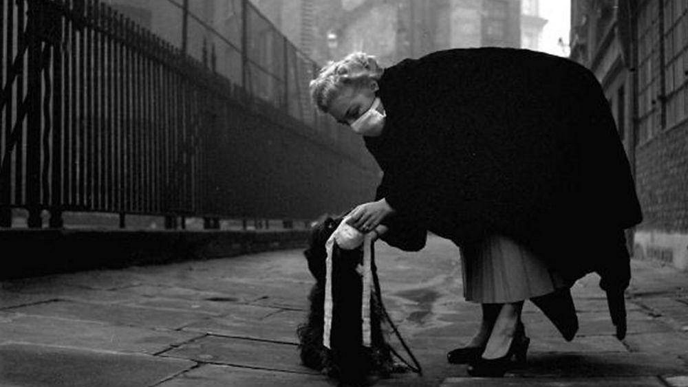 Seorang wanita yang memakaikan masker kepada anjingnya selama kabut asap mematikan di London, Desember 1952. (bbc.co.uk)
