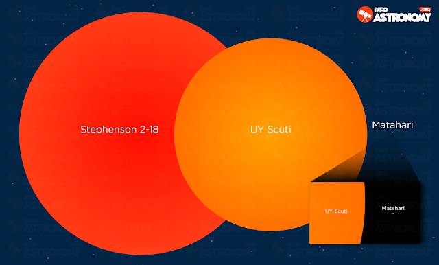 Perbandingan ukuran bintang terbesar dengan Matahari (dok. Info Astronomy)