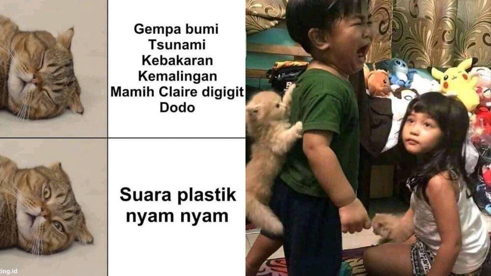 meme kelakuan kucing (facebook.com/Happy cat’s)