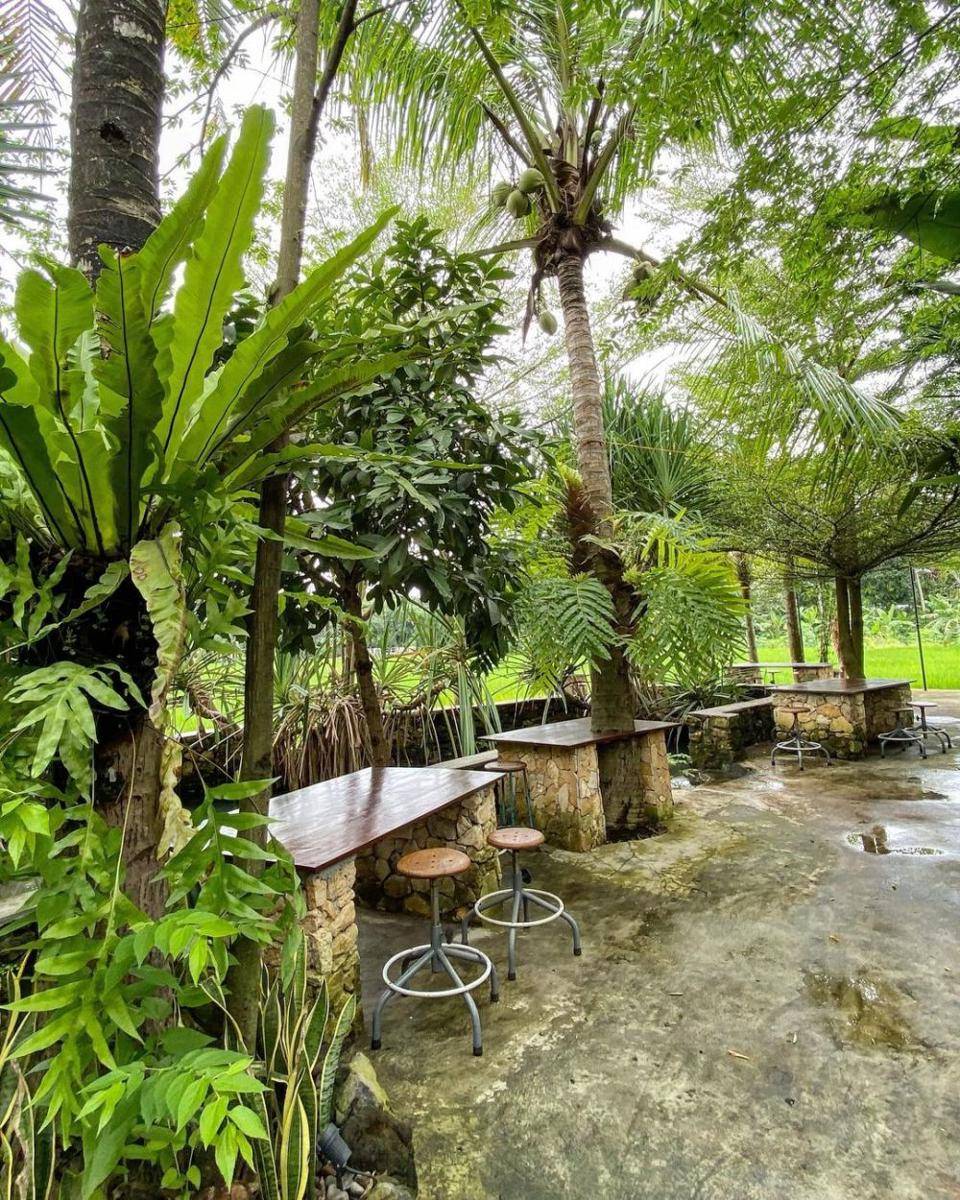 Ayonge Cafe and Resto (instagram.com/jogjafoodhunter)