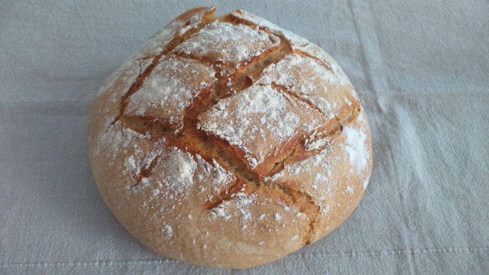 ilustrasi sourdough (pixabay.com/Tania_delosbosque)