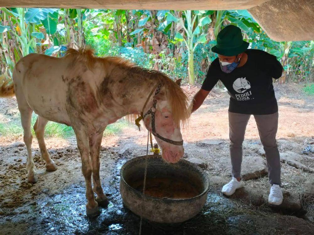 Kegiatan aksi sosial “Emergency Relief to Feed Carriage Horses in Jakarta during Covid-19 Pandemic” oleh Jakarta Animal Aid Network (JAAN) (Dok. JAAN)
