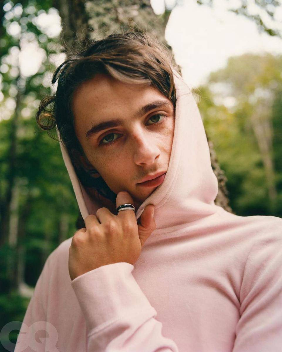 instagram.com/tchalamet