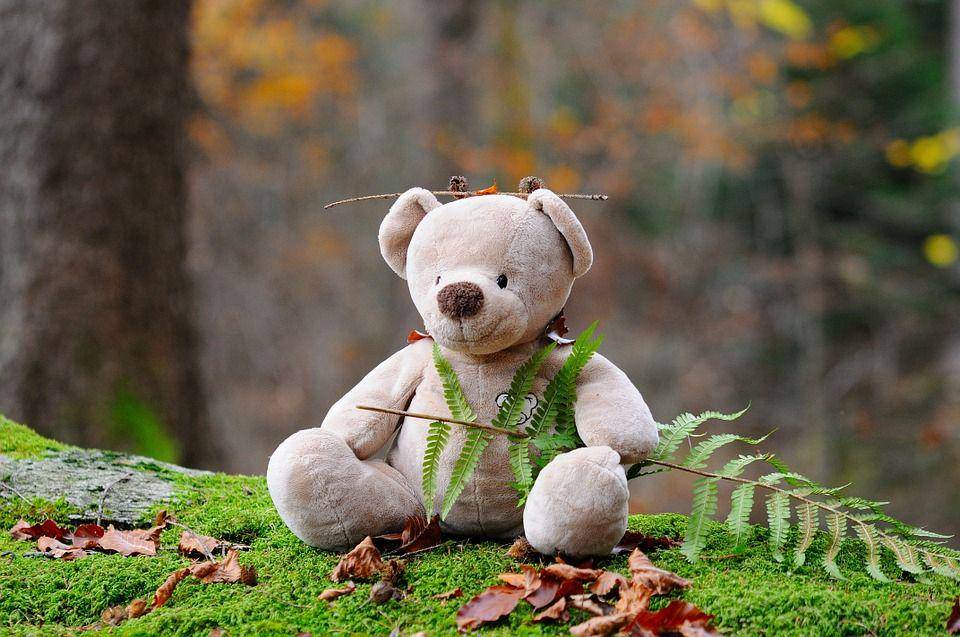 ilustrasi boneka (pixabay.com/pezibear)