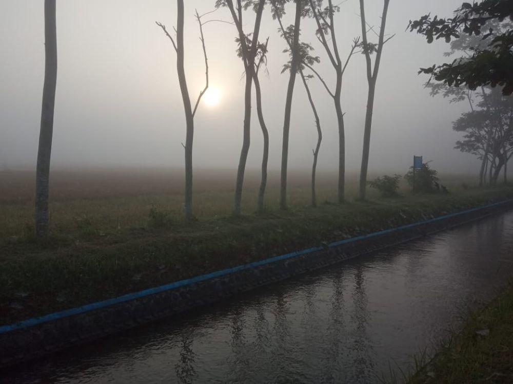 Kabut Tebal Selimuti Jember, Hati-hati Buat Pengendara