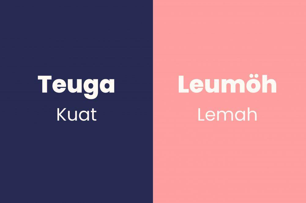 kata sifat dan antonimnya dalam bahasa Aceh (Dok. Pribadi/Fatimah)