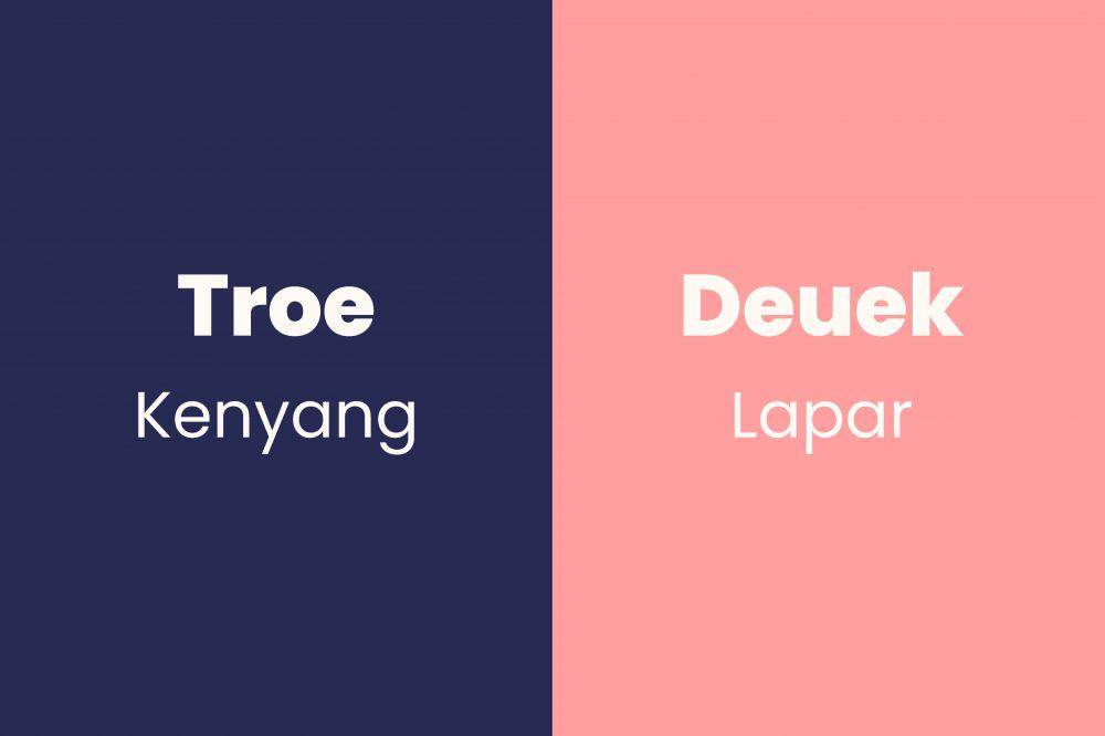 kata sifat dan antonimnya dalam bahasa Aceh (Dok. Pribadi/Fatimah)